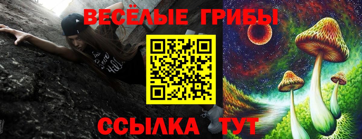 сколько стоит  Галлюциногенные грибы Cubensis  Вход с VPN  Тайшет 