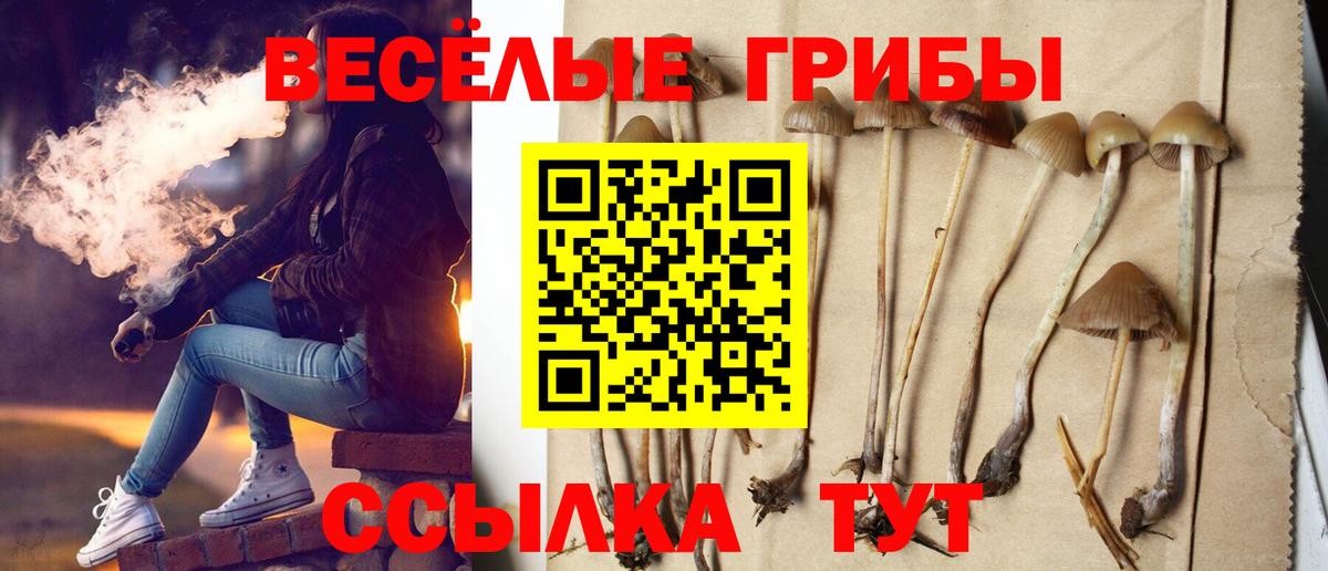 Галлюциногенные грибы Cubensis Тайшет
